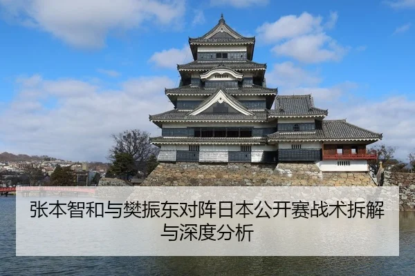 张本智和与樊振东对阵日本公开赛战术拆解与深度分析